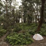 Prom Camping