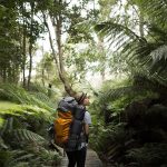Rainforest Hiker