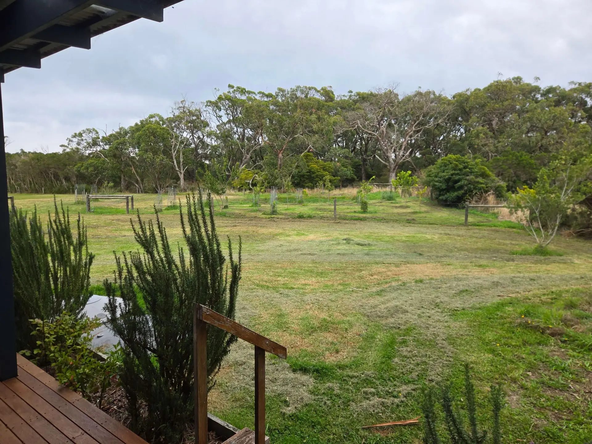 The view over the paddocks