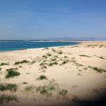 Shallow Inlet Dunes
