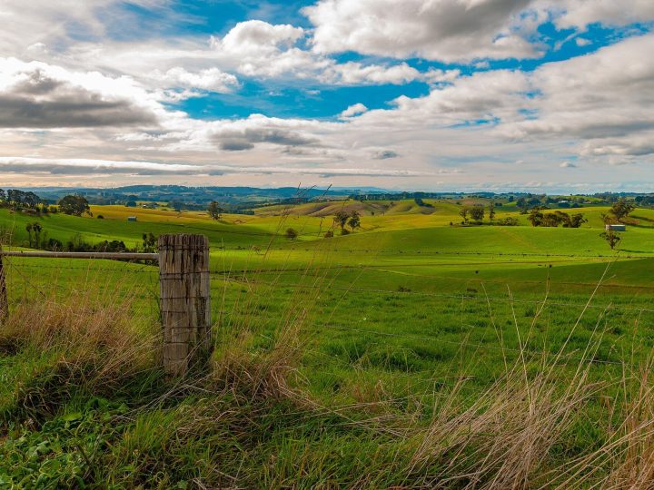 Strzelecki Hills