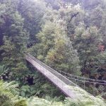 Tarra Bulga Bridge
