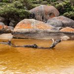 Tidal River