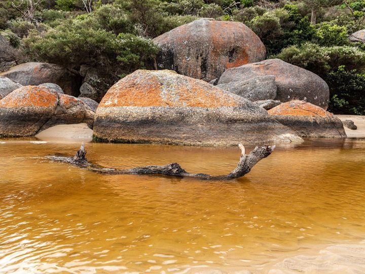 Tidal River