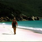 Waterloo Bay Walker